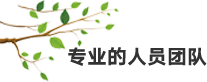 專業(yè)的人員團(tuán)隊(duì).png