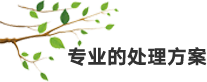 專業(yè)的處理方案.png